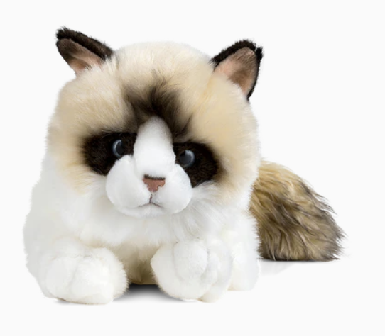 Living Nature Ragdoll Cat