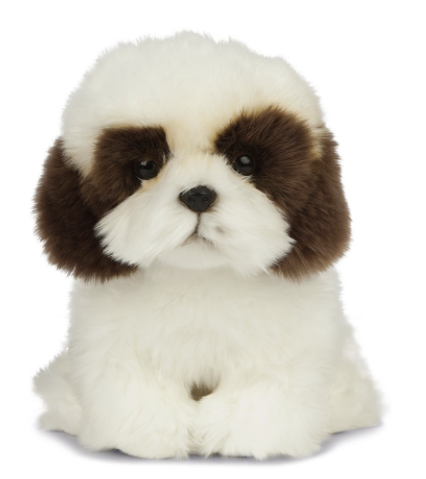 Living Nature Shih Tzu