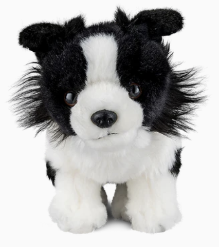 Living Nature Border Collie