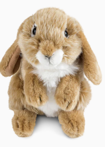 Living Nature Brown Sitting Lop 1b