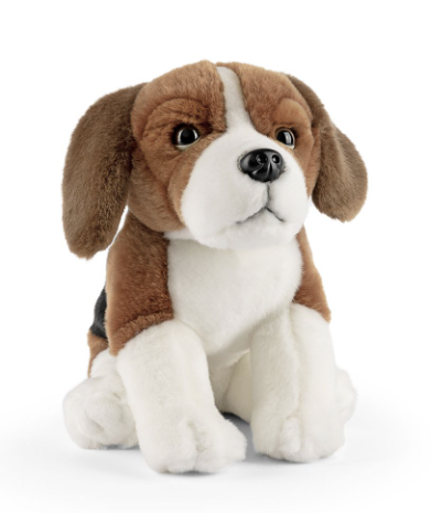 Living Nature Beagle