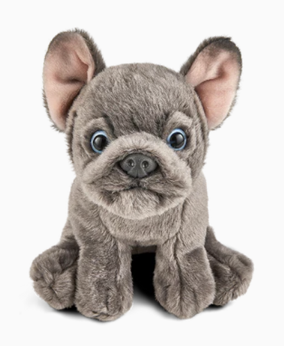 Living Nature French Bulldog Puppy