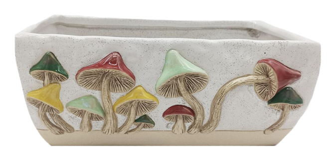 Rectangle Mushroom Planter 1