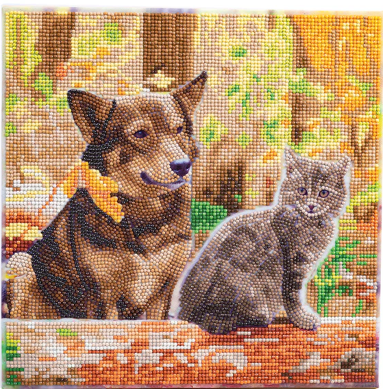 Crystal Art Cat and Dog in the Woods 1b
