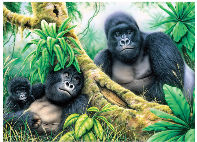 Large PBN - Mountain Gorillas