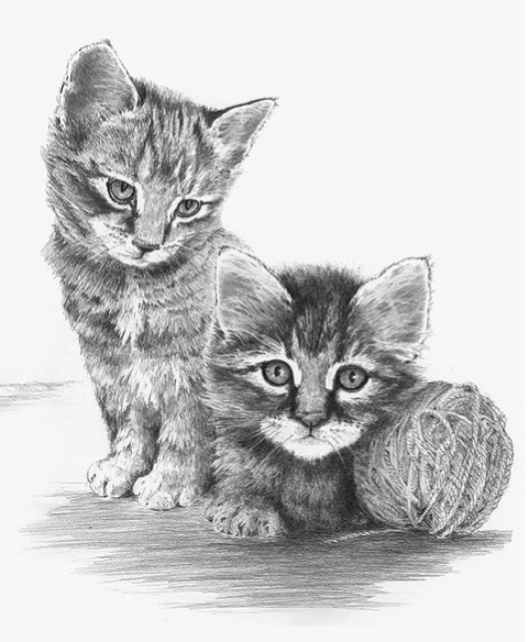 Sketching - Kittens with Yarn