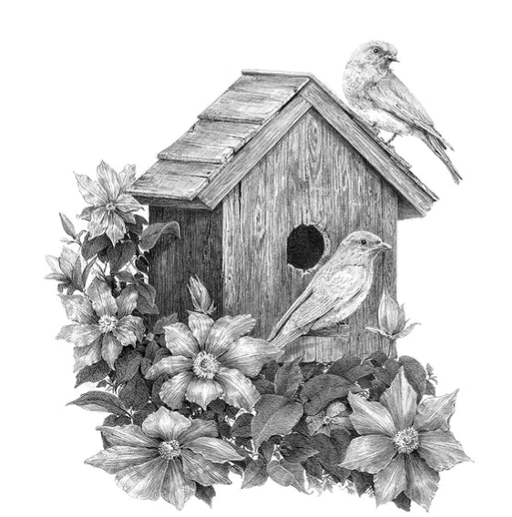 Sketching - Birdhouse