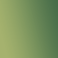 Windsor Artists Oil - 37ml - Sap Green