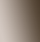 Windsor Artists Oil - 37ml - Raw Umber
