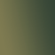 Windsor Artists Oil - 37ml - Olive Green