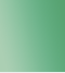 Windsor Artists Oil - 37ml - Viridian