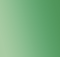 Windsor Artists Oil - 37ml - Permanent Green Deep