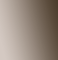 Windsor Artists Oil - 200ml - Raw Umber