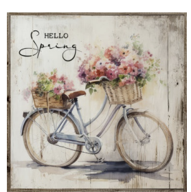 Hello Spring Bicycle