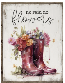 No Rain No Flowers