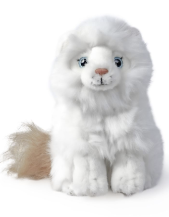 Living Nature Ragdoll Kitten