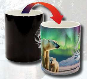 Color Change - Polar Bear &amp; Cub Under Northern Lights