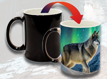 Color Change - Wolf Under Northern Lights