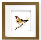 Quilling Card Frame - Gold
