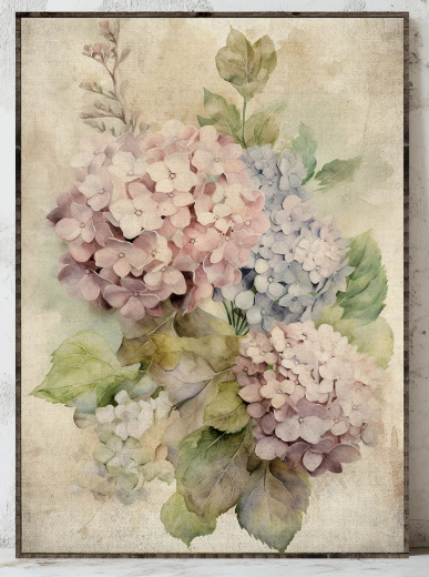 Spring Hydrangeas