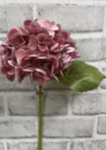 12&quot; Fresh Touch Hydrangea