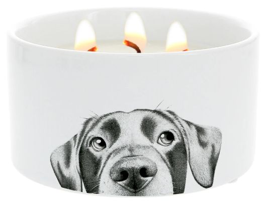 PV 41213 Dog