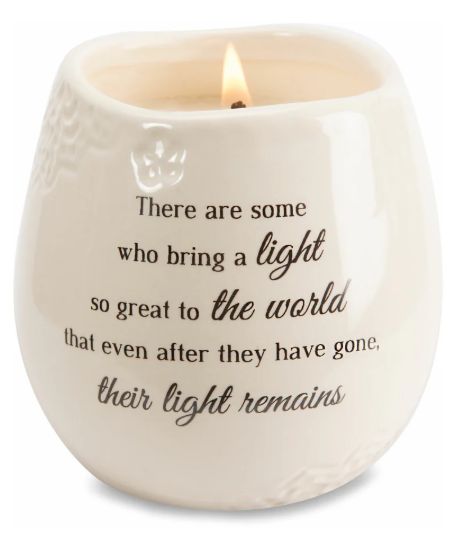 PV 19176 Light Soy Candle