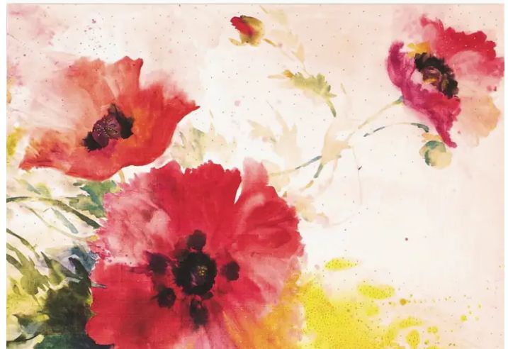 Peter Pauper Note Cards - Watercolor Poppies