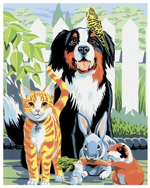 Standard PBN - Family Pets