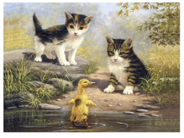 Large PBN - Pond Pals