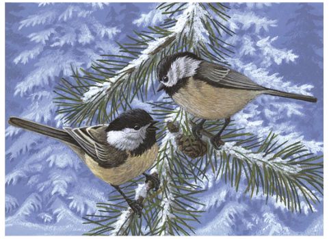 Large PBN - Pine Birds