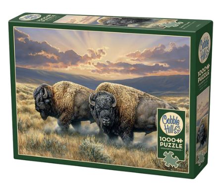 Dusty Plains 1000pc