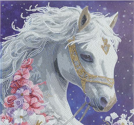 Crystal Art Mystic Beauty