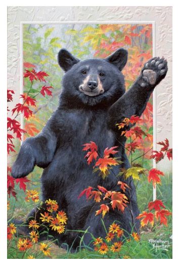 Autumn Greeting