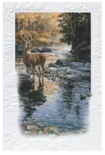 Shallow Crossing