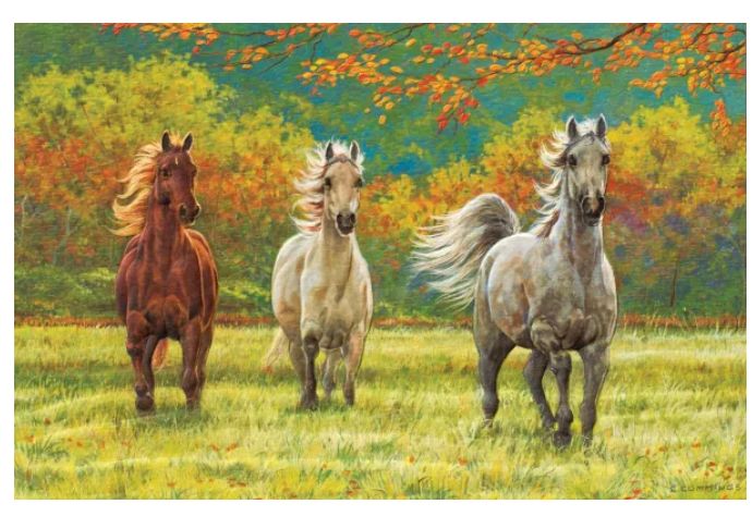 Autumn Meadow