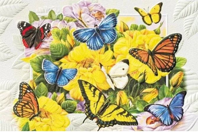 Butterfly Banquet