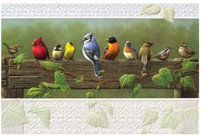 Railbirds