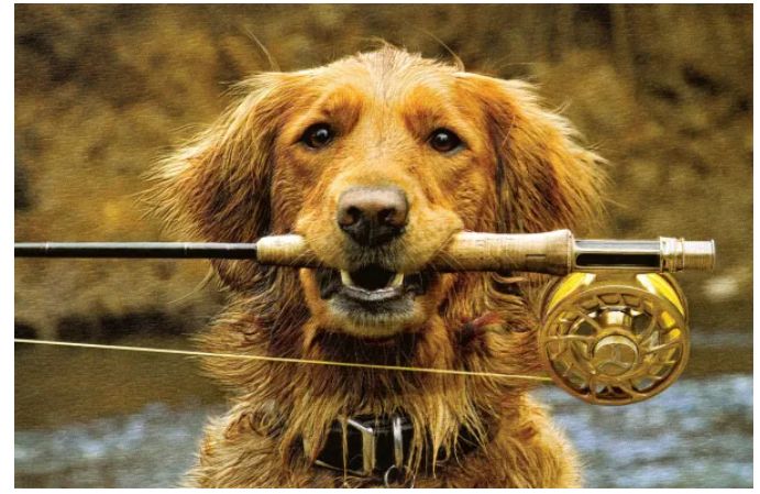 Fishing Buddy