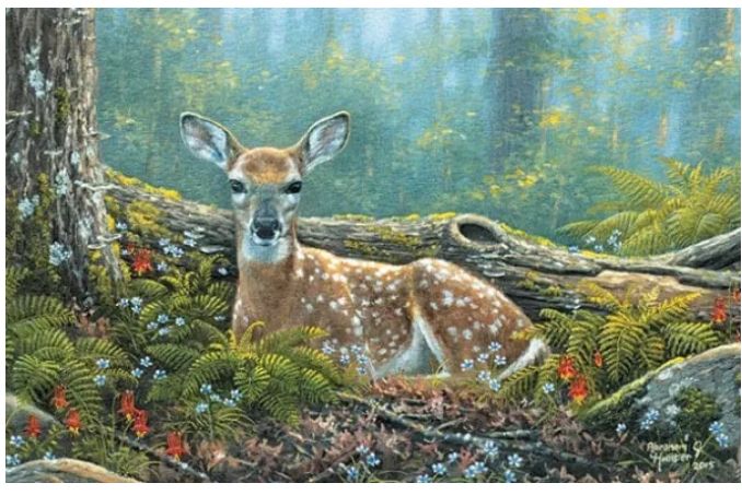 Endearing Fawn