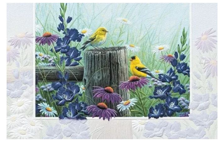 Goldfinch Meadow