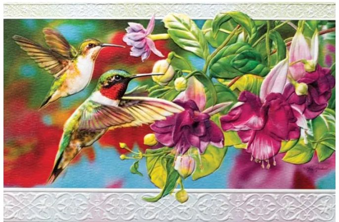 Hummingbird in Fuschia