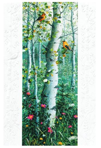 Goldfinch Aspens