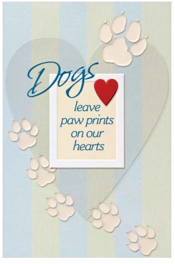 Dogs Paw