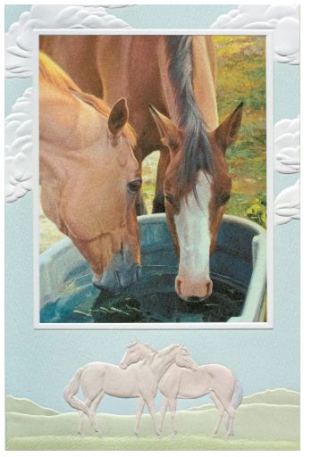 Conversations at the Water Cooler