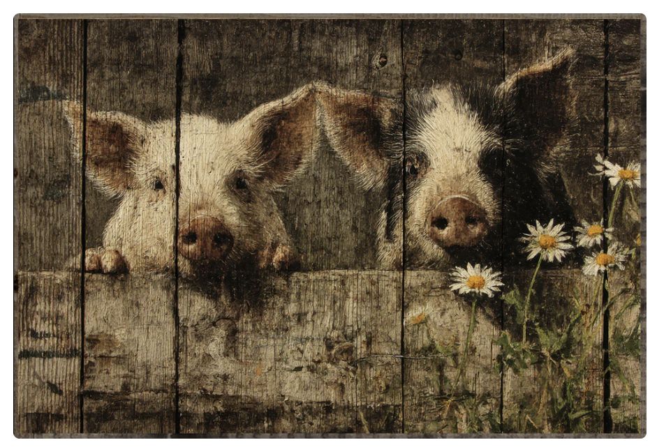Rustic Pigs