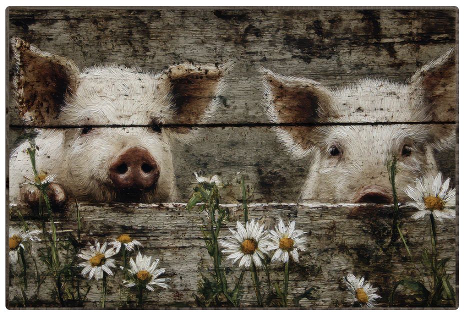 Rustic Piglets