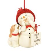 Snowpinion - Sounding Joy