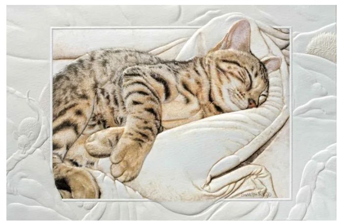 PPress Bengal Baby
