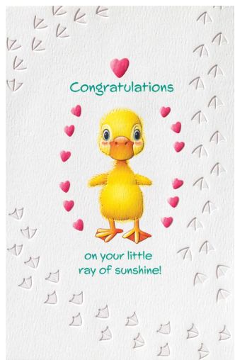 PPress Sunshine Duck